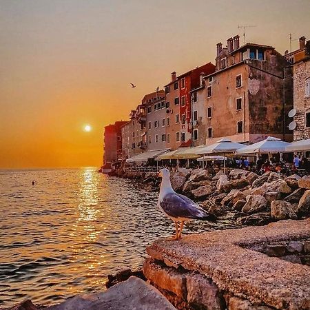 Mobile Home More Porton Nature Hideouts Rovinj Dış mekan fotoğraf