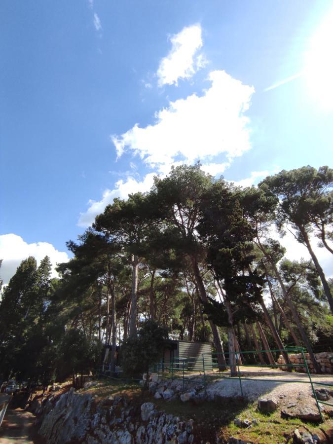 Mobile Home More Porton Nature Hideouts Rovinj Dış mekan fotoğraf
