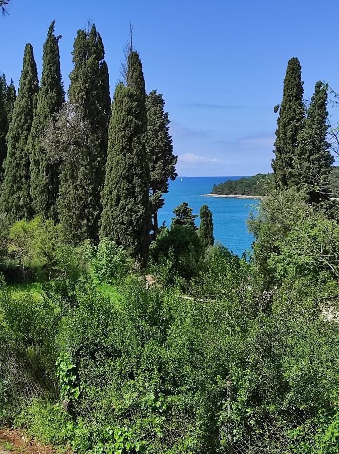 Mobile Home More Porton Nature Hideouts Rovinj Dış mekan fotoğraf