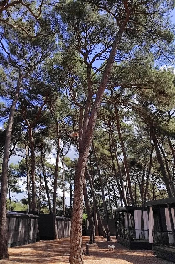Mobile Home More Porton Nature Hideouts Rovinj Dış mekan fotoğraf