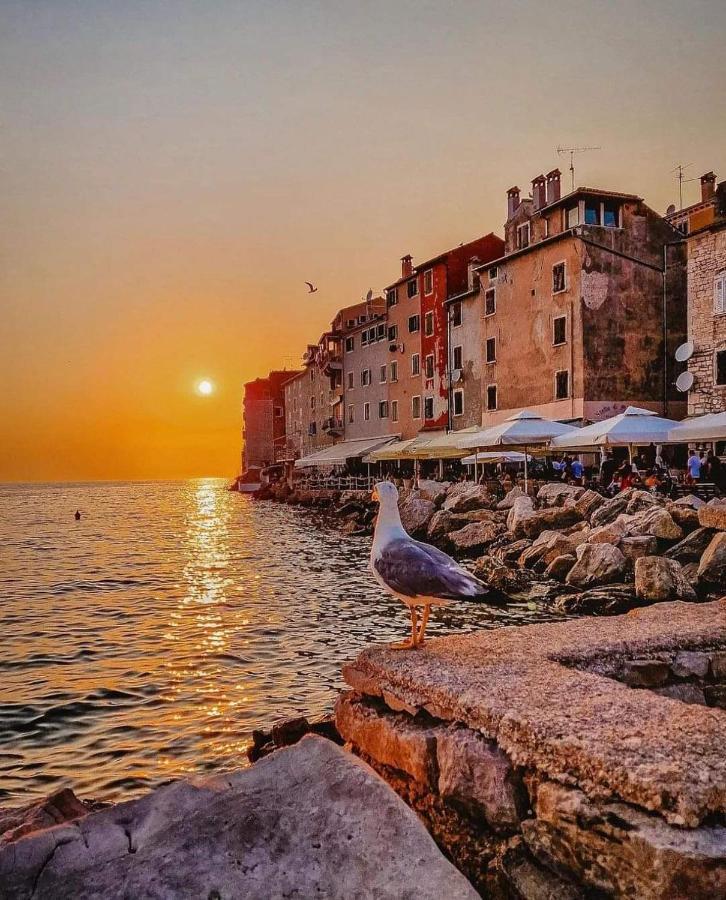 Mobile Home More Porton Nature Hideouts Rovinj Dış mekan fotoğraf